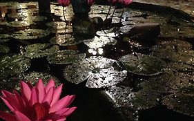 The Lotus Garden Suites