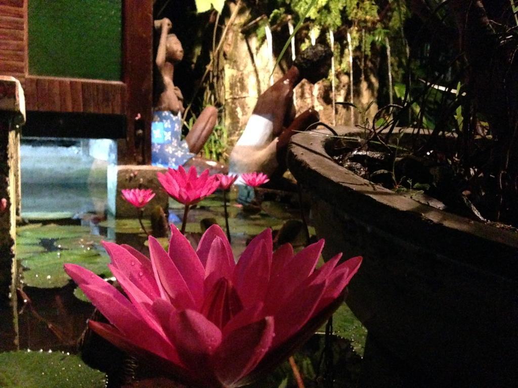 The Lotus Garden Suites Puerto Princesa Exterior photo